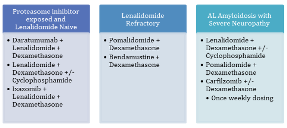 AL Amyloidosis chart 3