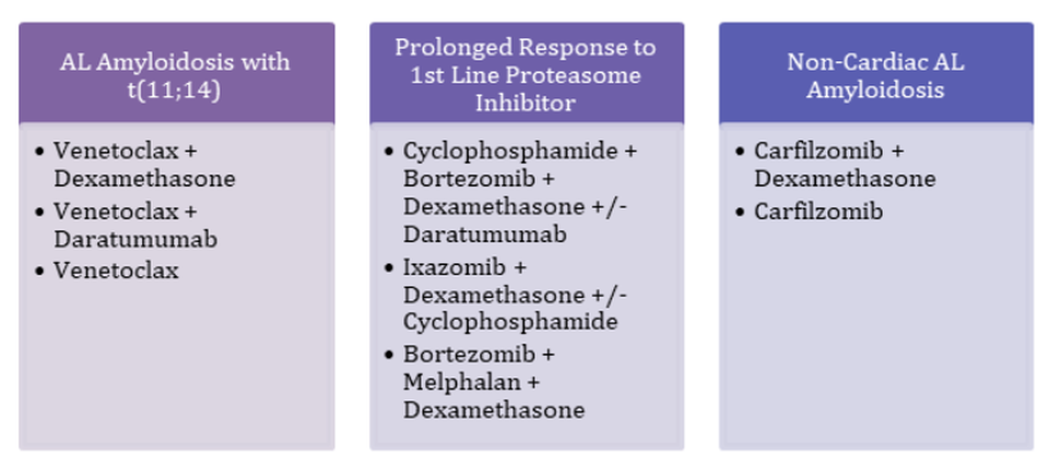 AL Amyloidosis chart 2