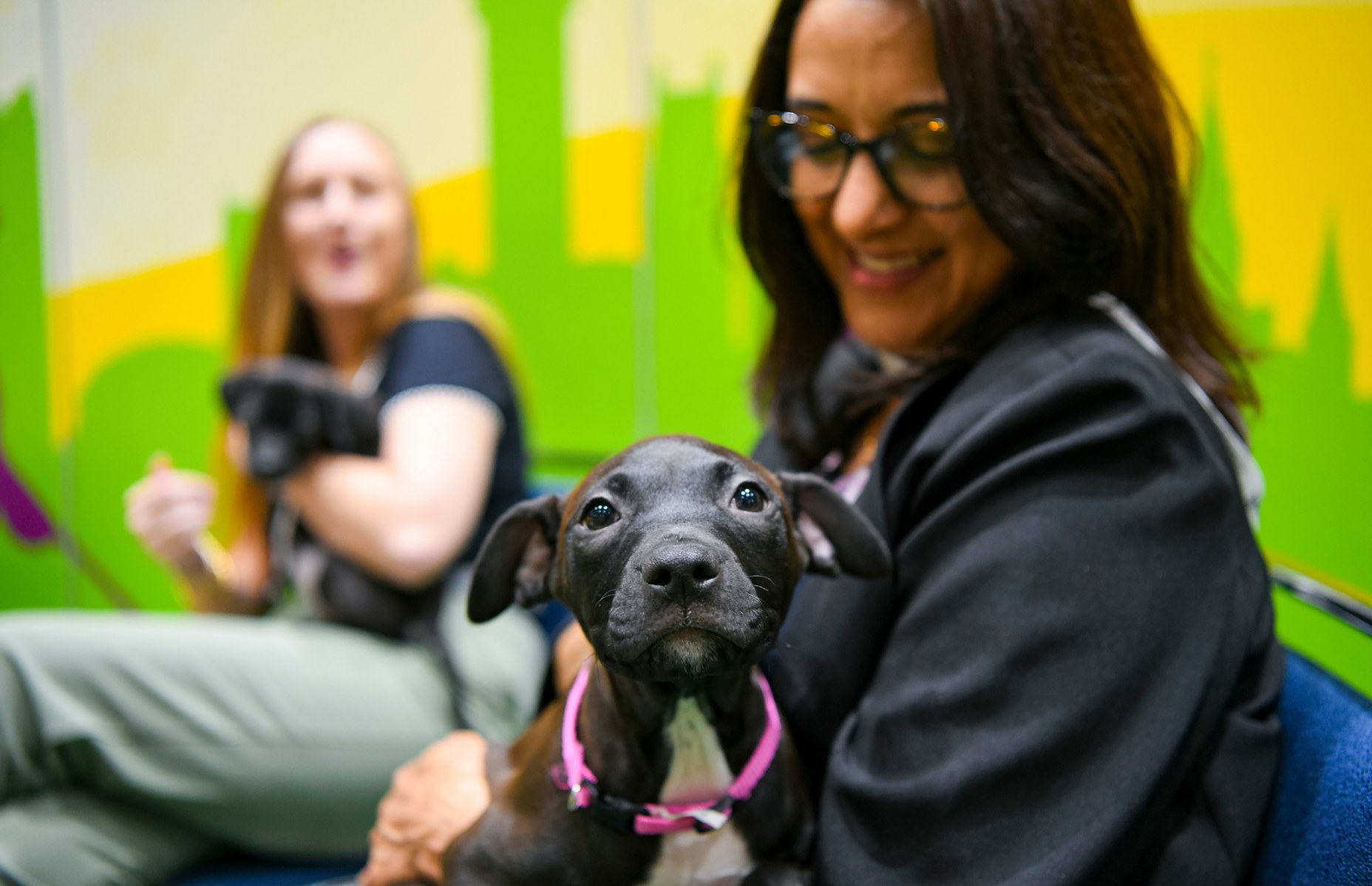 A puppy and a HOPA member at HOPA 26