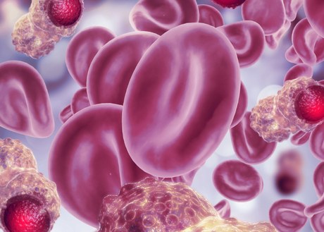 Cancer cells in a blood stream