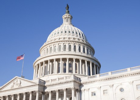 U.S. Capitol Building