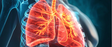 An image of a lung inside the body