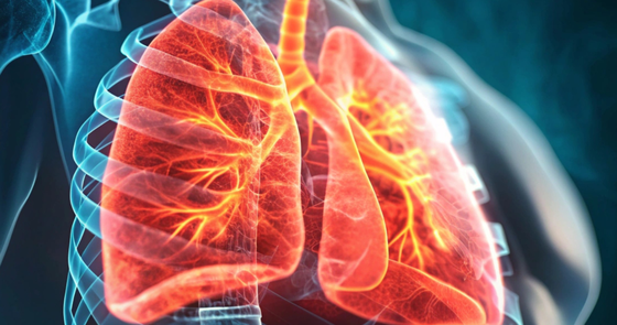 An image of a lung inside the body