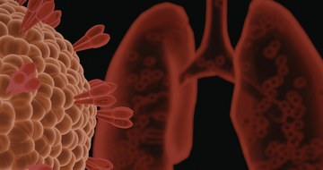 An image of a cancer cell and lungs in red