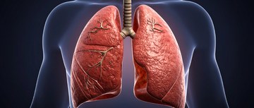 An image of lungs against the outline of a body