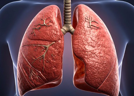 An image of lungs against the outline of a body