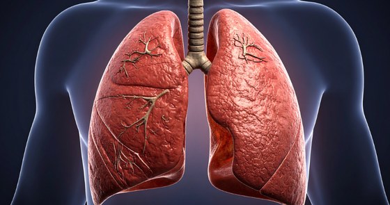 An image of lungs against the outline of a body