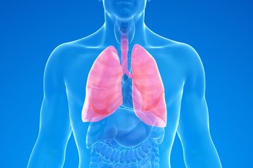 A graphic of a man's lungs on a blue background