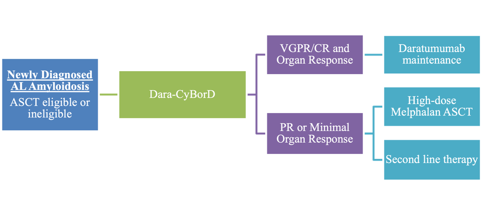 AL Amyloidosis chart