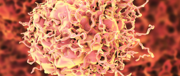 close up photo of colon cancer cells